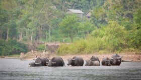 image-37